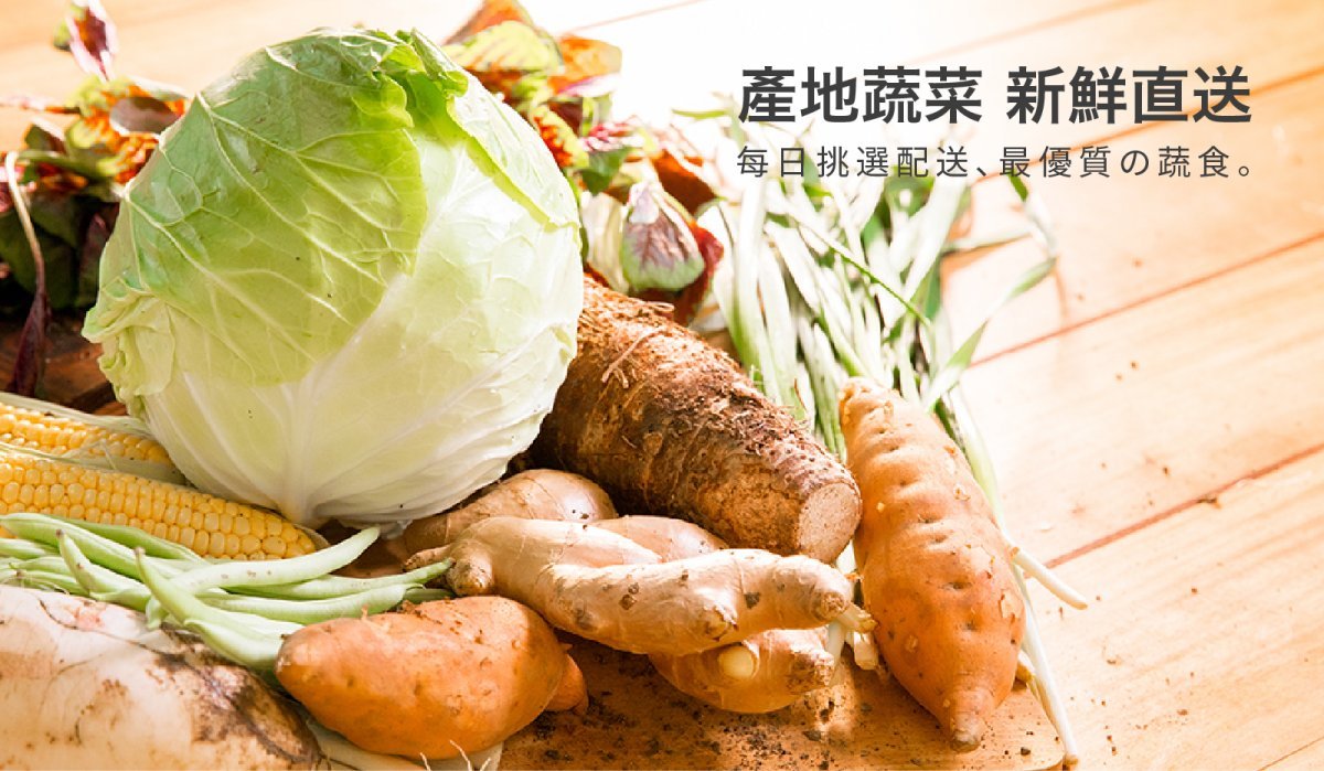韭黃鮮肉＿01-3產地蔬菜